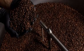 dzt brasitalia emporio torrefacao 0013